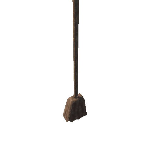 Eve TW Broom